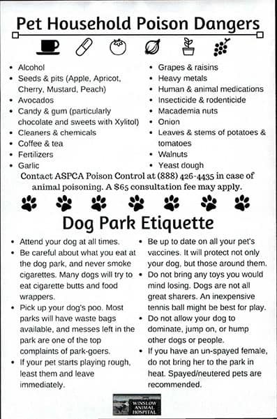 Pet Household Poison Dangers
